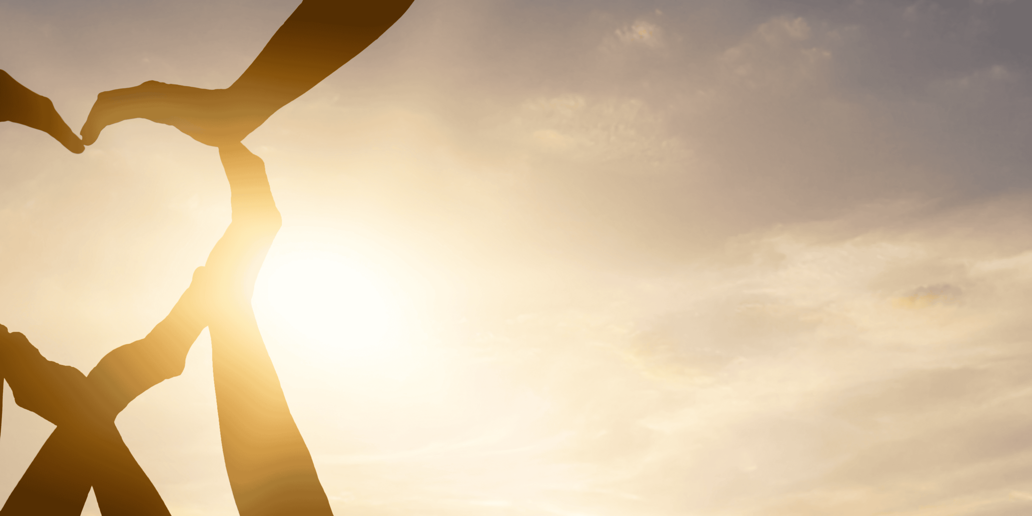 Dynamics 365 Business Central for Not For Profit